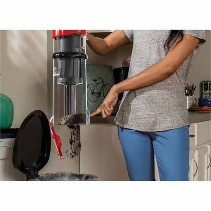 Dirt Devil UD20121V Upright Vacuum Cleaner