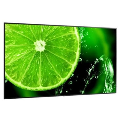 75" 4K Ultra HD Display