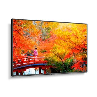 49" LED LCD UHD 500nits WCG