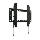 Fit Medium Tilt Wall Mount