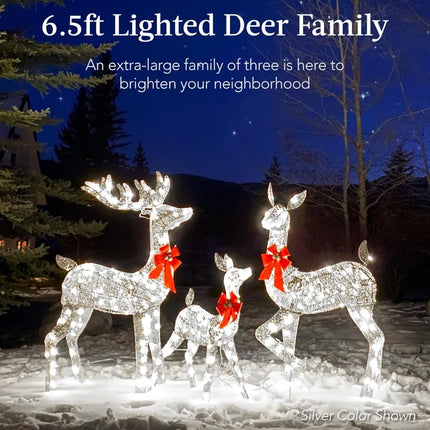 3-Piece Lighted Christmas Deer Set with 385 LED Lights for Outdoors