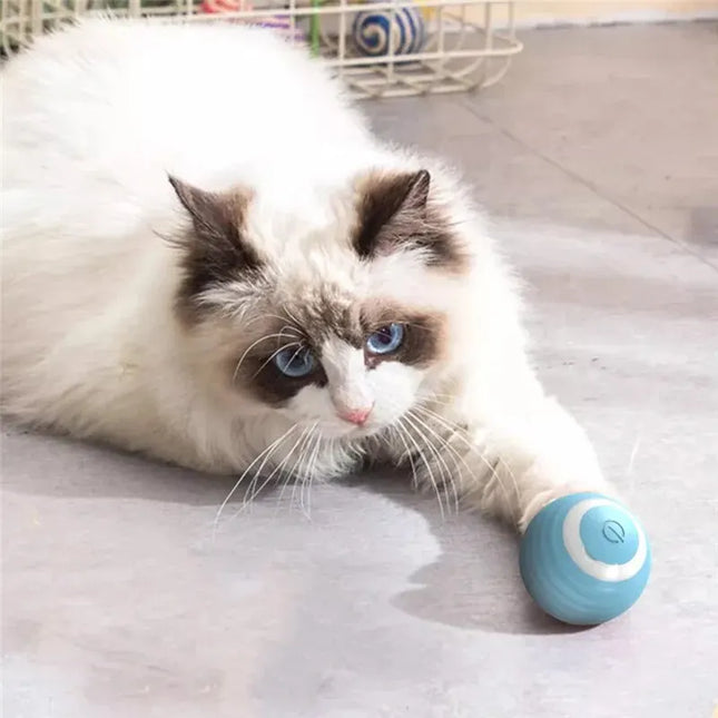 Interactive Cat Ball Toy – Self-Moving Electric Rolling Magic Ball