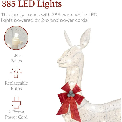 3-Piece Lighted Christmas Deer Set with 385 LED Lights for Outdoors