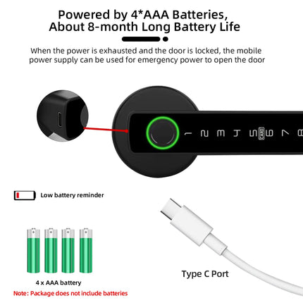 RAYKUBE Tuya BLE Fingerprint Door Lock – Smart Digital Lock with Multiple Unlock Options