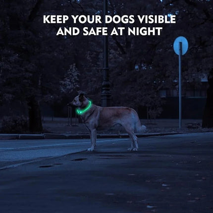 LED Dog Collar with USB Rechargeable Light and 3 Modes for Safety