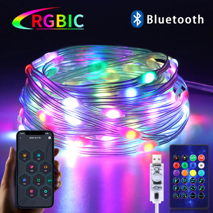 5V USB RGBIC Fairy String Lights with Bluetooth & Remote Control