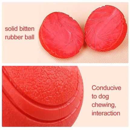 MADDEN Solid Rubber Bouncy Ball - Durable Dog Training Toy