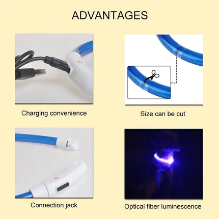 LED Dog Collar with USB Rechargeable Light and 3 Modes for Safety