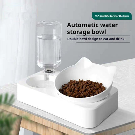 Double Raised Dog & Cat Bowls with Automatic Water Feeder