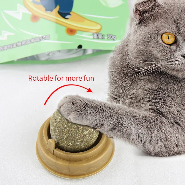 Natural Catnip Scratching Post & Wall Sticker – Therapeutic Cat Toy