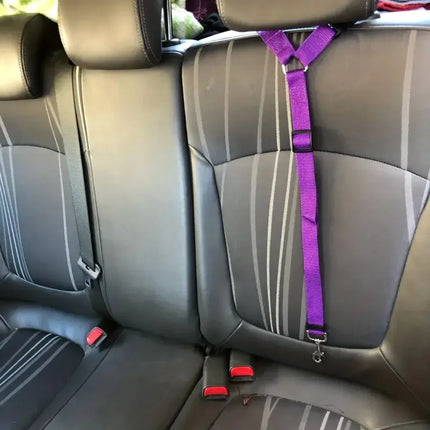 Adjustable Pet Seat Belt for Dogs & Cats - Car Headrest Restraint